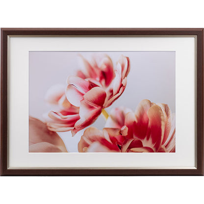 ケンコー・トキナー JGM-A3-BR グレイスメロウMiu（ミウ）A3 / B3兼用 ブラウン