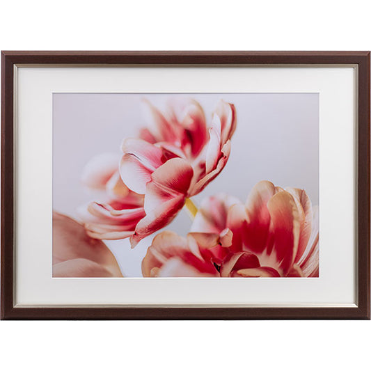 ケンコー・トキナー JGM-A3-BR グレイスメロウMiu（ミウ）A3 / B3兼用 ブラウン