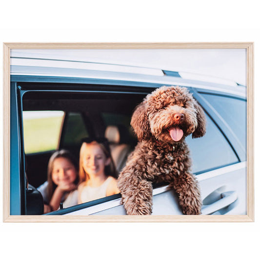 ケンコー・トキナー AAG-A4-NA 写真額 アミネオ・グランデ A4 ナチュラル ※欠品：納期未定（4/17現在）