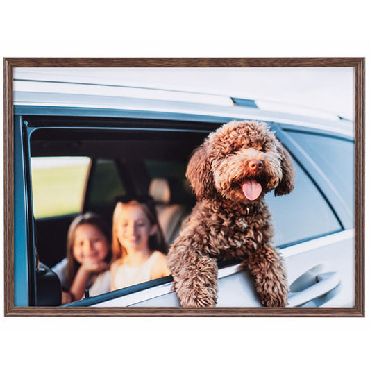 ケンコー・トキナー AAG-A4-BR 写真額 アミネオ・グランデ A4 ブラウン ※欠品：納期未定（4/17現在）