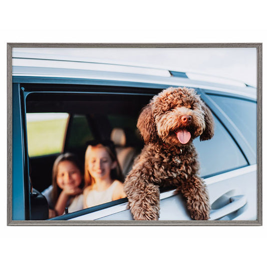 ケンコー・トキナー AAG-A3-GRY 写真額 アミネオ・グランデ A3 グレー ※欠品：納期未定（4/17現在）