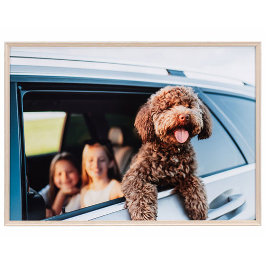 ケンコー・トキナー AAG-A3-NA 写真額 アミネオ・グランデ A3 ナチュラル ※欠品：納期未定（4/17現在）