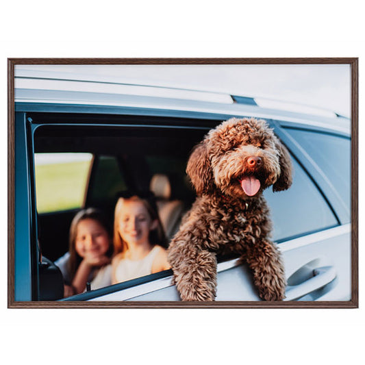 ケンコー・トキナー AAG-A3-BR 写真額 アミネオ・グランデ A3 ブラウン ※欠品：納期未定（4/17現在）