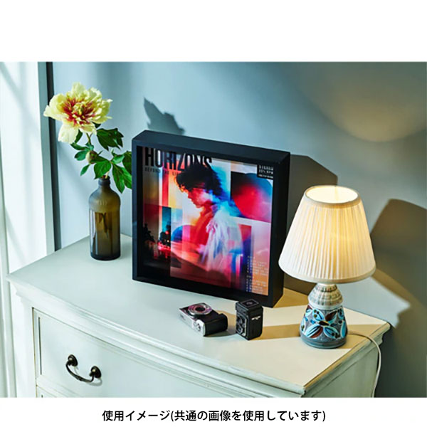 ケンコー・トキナー PS-LPDF-WH LPレコードジャケット用ダブルフェイスフレーム ホワイト