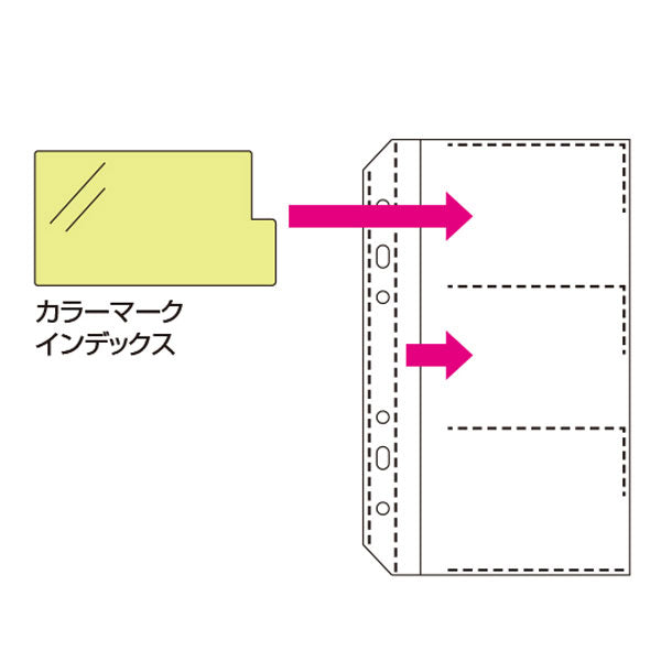 セキセイ C-60 ザ・カード システムカードホルダー 差替式の専用補充用ポケット