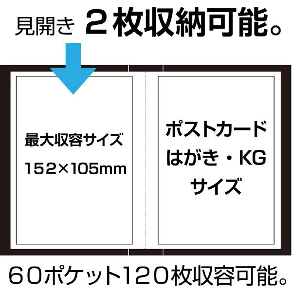 セキセイ KP-60P-10 ポストカードホルダー 高透明 ハガキ 120枚 ブルー