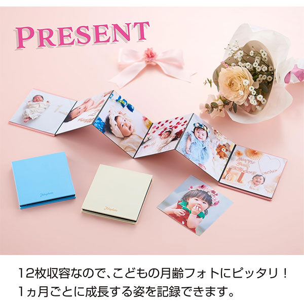 セキセイ XP-8912-21 ハーパーハウス ジャバラフォトスタンド Jabaphoto ましかく 12枚 ピンク