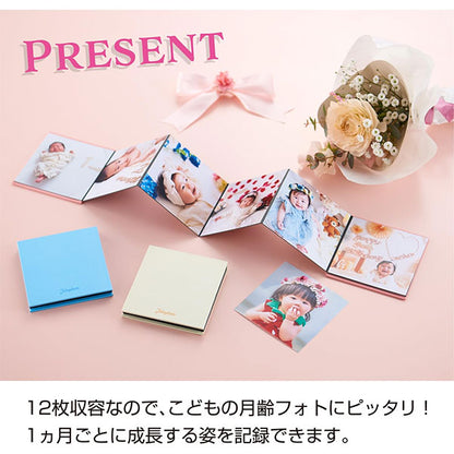 セキセイ XP-8912-21 ハーパーハウス ジャバラフォトスタンド Jabaphoto ましかく 12枚 ピンク