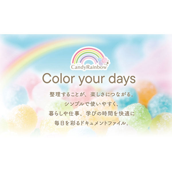 セキセイ AD-5212 アドワン キャンディレインボードキュメントファイル A4ヨコ