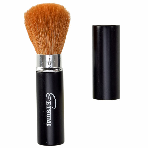 エツミ VE-5258 クリーニングブラシ S