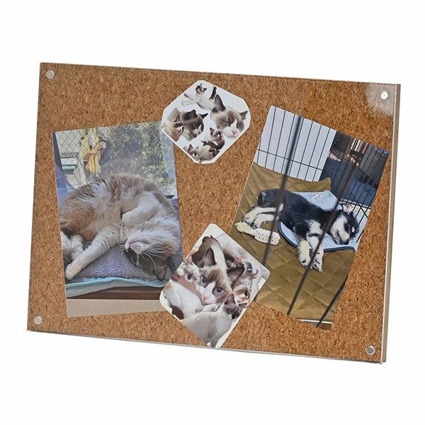 エツミ VE-5602 マグネットフォトフレーム ハガキ・L判・チェキサイズ対応 コルクブラウン