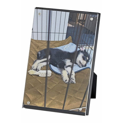 エツミ VE-5607 マグネットフォトフレーム A4・B5サイズ対応 ホワイト