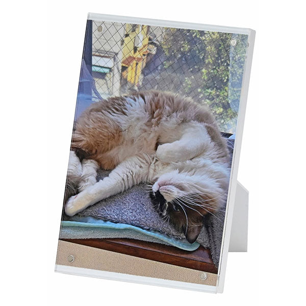 エツミ VE-5600 マグネットフォトフレーム ハガキ・L判・チェキサイズ対応 ブラック