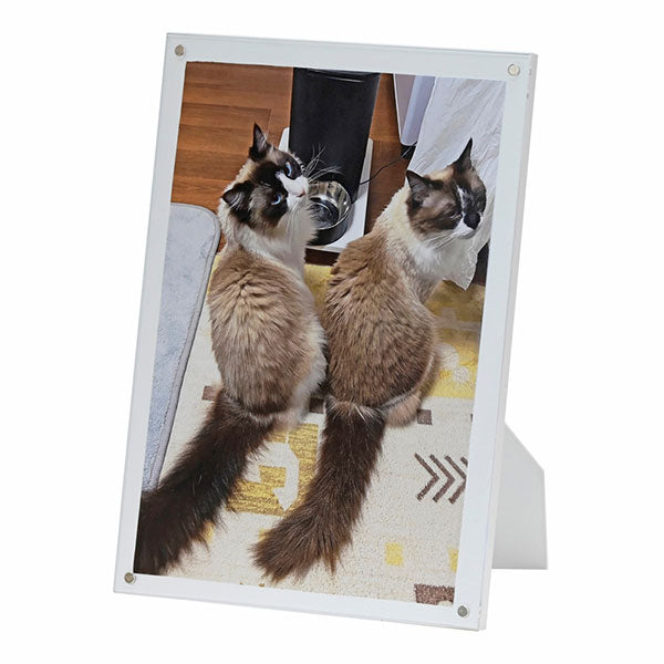 エツミ VE-5604 マグネットフォトフレーム 2L判・ハガキ・L判サイズ対応 ホワイト