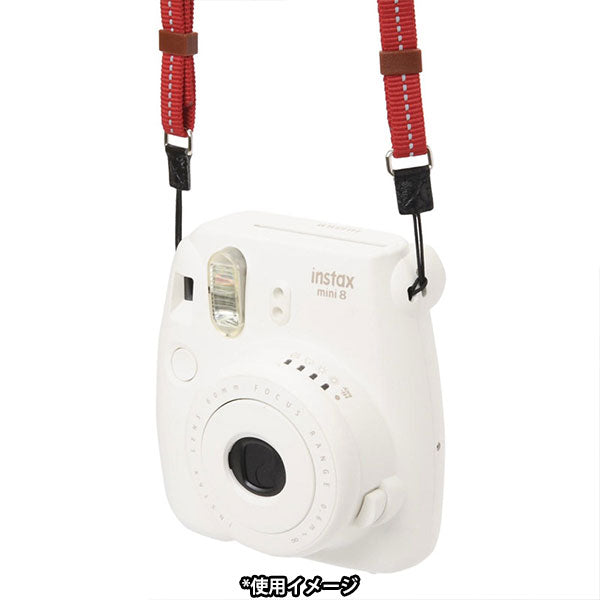 エツミ VE-2555 ストラップアダプター デュアルポイントN 2個入り