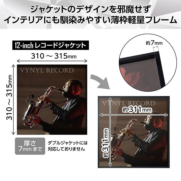 ハクバ FRG01-12BK レコード額 RG-01 12インチ/10インチレコードジャケット対応 ブラック