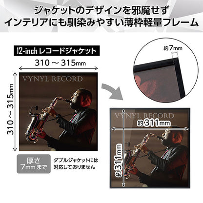 ハクバ FRG01-12BK レコード額 RG-01 12インチ/10インチレコードジャケット対応 ブラック