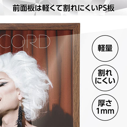 ハクバ FRG01-7BR レコード額 RG-01 7インチレコード/CD紙ジャケット対応 ブラウン