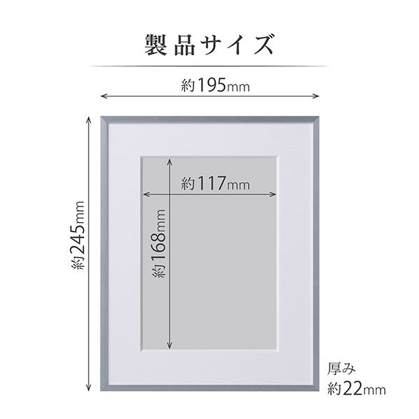 ハクバ HFA-03SV-2L アルミ額 2L判サイズ シルバー