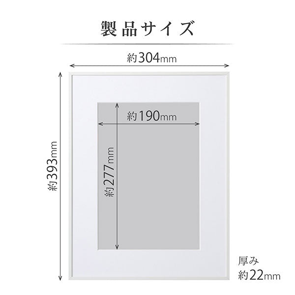 ハクバ HFA-03WT-A4 アルミ額 A4サイズ ホワイト