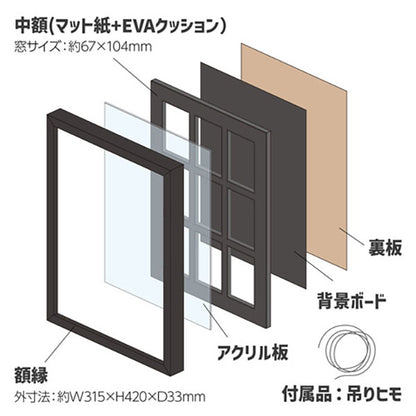 ハクバ FWTCG-01 トレーディングカード額 TCG-01 35pt×9枚用 ブラック
