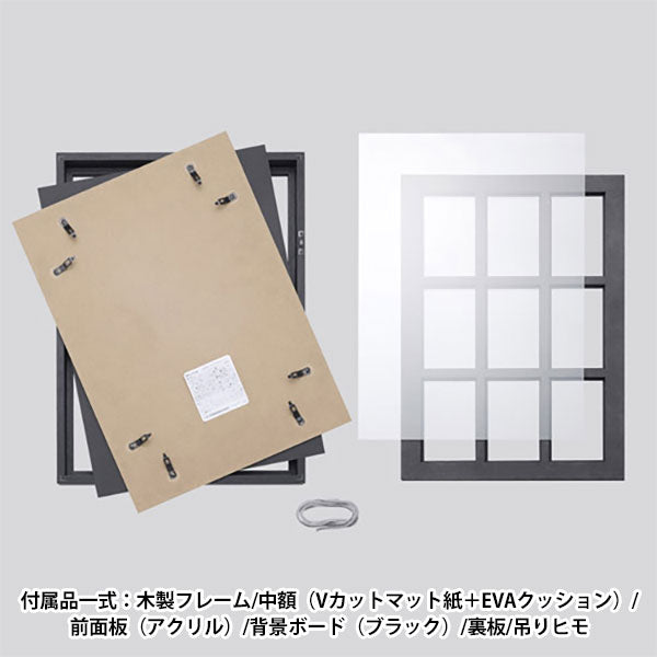 ハクバ FWTCG-01 トレーディングカード額 TCG-01 35pt×9枚用 ブラック