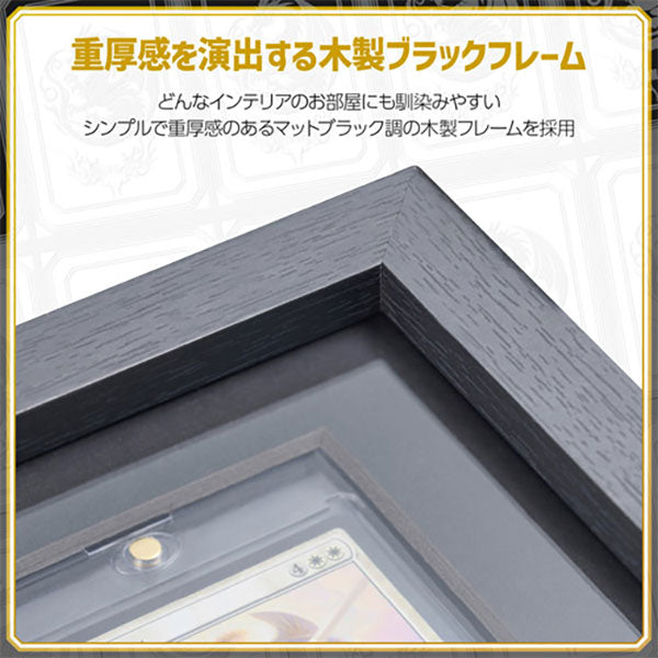 ハクバ FWTCG-01 トレーディングカード額 TCG-01 35pt×9枚用 ブラック