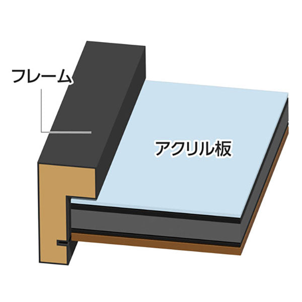 ハクバ FWTCG-01 トレーディングカード額 TCG-01 35pt×9枚用 ブラック