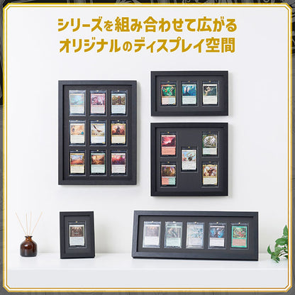ハクバ FWTCG-01-1BK トレーディングカード額 TCG-01 35pt×1 ブラック