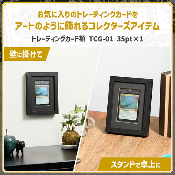 ハクバ FWTCG-01-1BK トレーディングカード額 TCG-01 35pt×1 ブラック