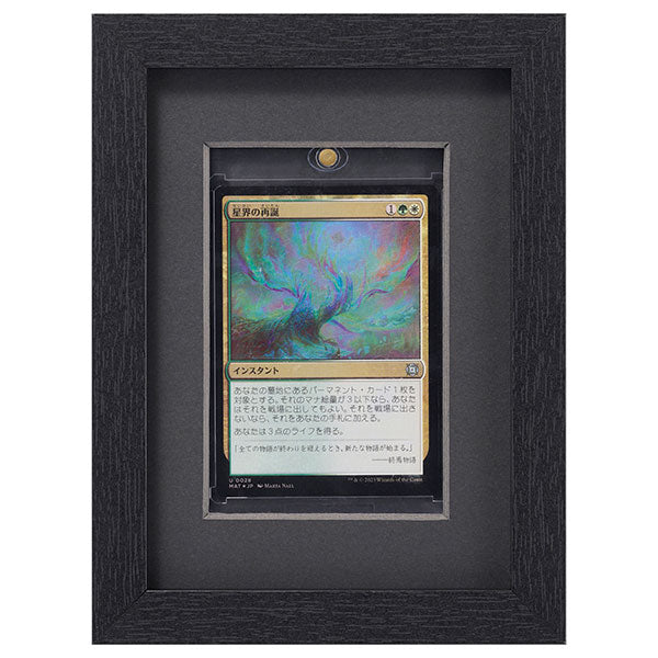 ハクバ FWTCG-01-1BK トレーディングカード額 TCG-01 35pt×1 ブラック