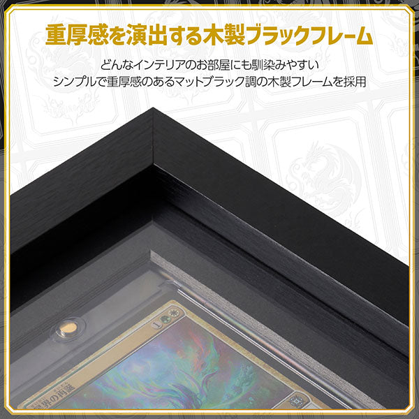 ハクバ FWTCG-01-5SBK トレーディングカード額 TCG-01 35pt×5(スクエア額) ブラック