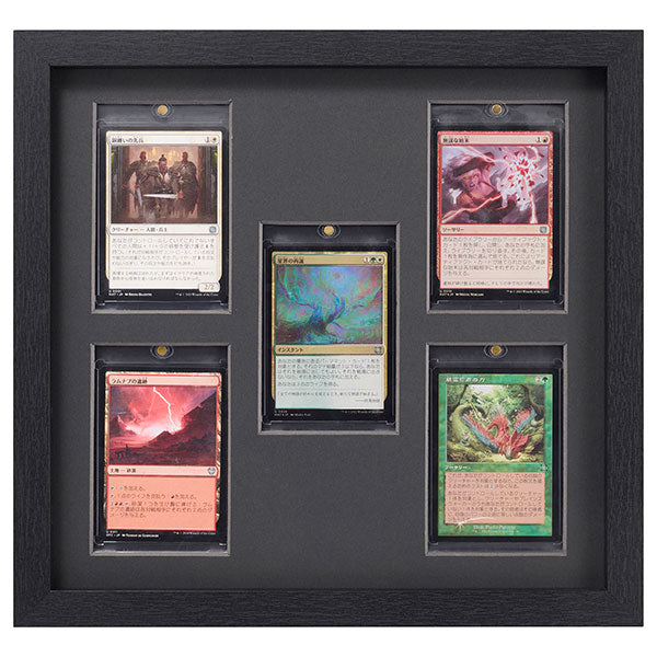 ハクバ FWTCG-01-5SBK トレーディングカード額 TCG-01 35pt×5(スクエア額) ブラック