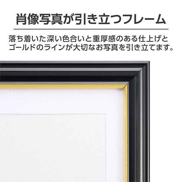 ハクバ FWIY-2L 肖像額縁 入山 2L判サイズ