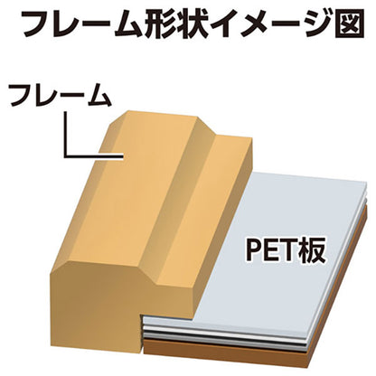ハクバ FWPXP-BRA4 木製額縁 ピクスリアプラス A4/B5サイズ ブラウン