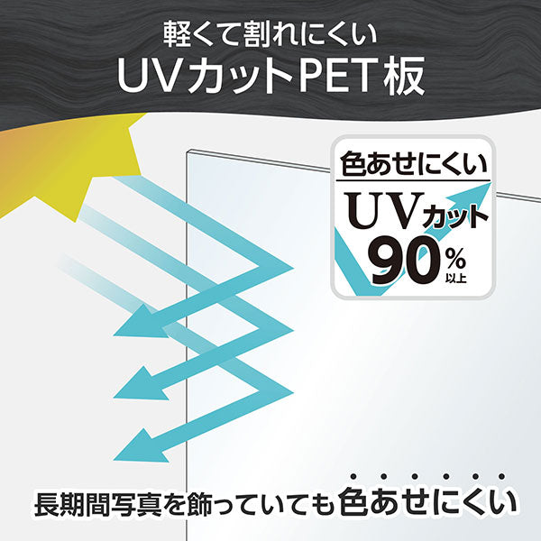 ハクバ FWPXP-BKA3 木製額縁 ピクスリアプラス A3/B4サイズ ブラック