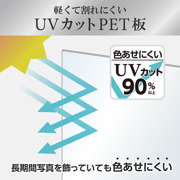 ハクバ FAPEP-SVA4 アルミ額縁 ペオリアプラス A4/B5サイズ シルバー