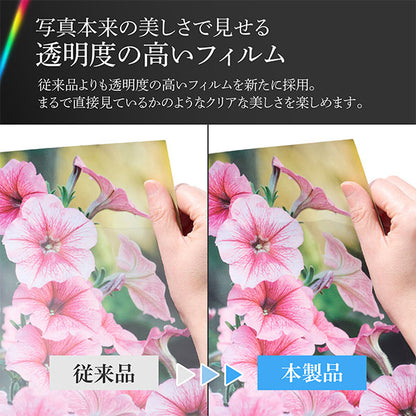 ハクバ プロフェッショナルプリントアルバムV A4（ヨコ）サイズ 40枚収納