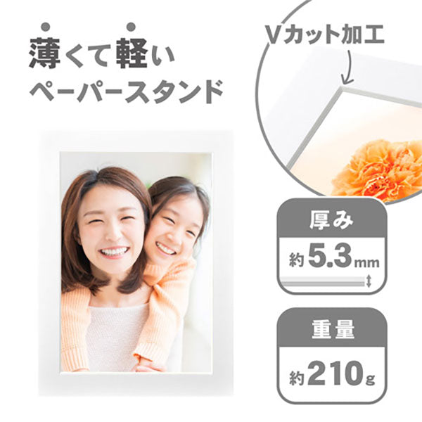 ハクバ MICPS-A4WT インサート カラーペーパースタンド A4 ホワイト