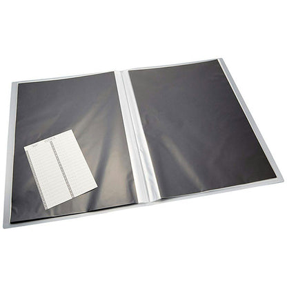 フジカラー プロフェッショナル プリントファイル A3ノビ 40枚収納