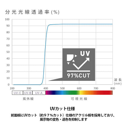 フジカラー スクエアライトフレーム 半切 ブラック