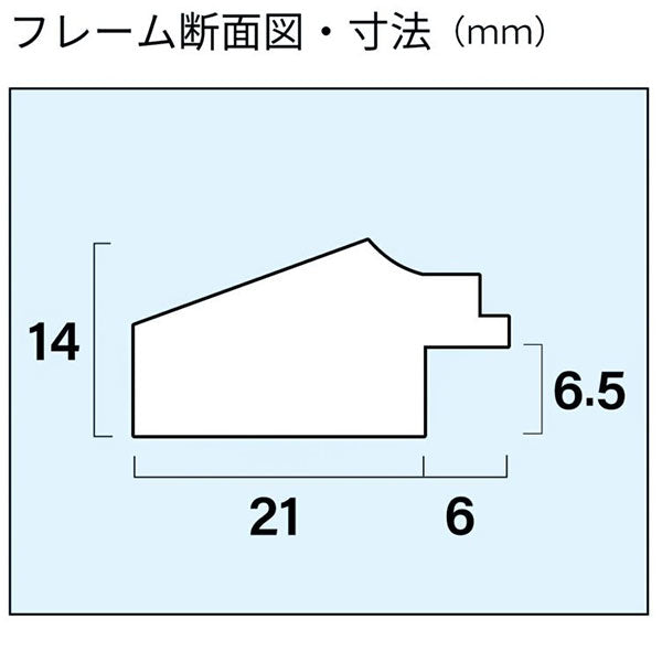 フジカラー M12 アクリルフレーム 木製額縁 半切 木地