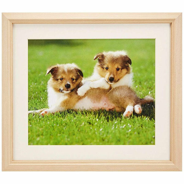 フジカラー M12 アクリルフレーム 木製額縁 4切 木地