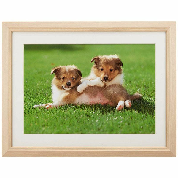 フジカラー M12 アクリルフレーム 木製額縁 ワイド4切 木地