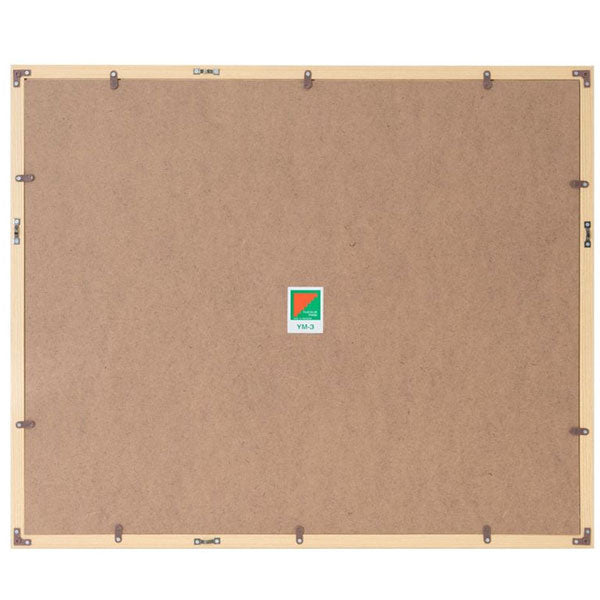 フジカラー YM-3 アクリルフレーム 木製額縁 全紙 木地