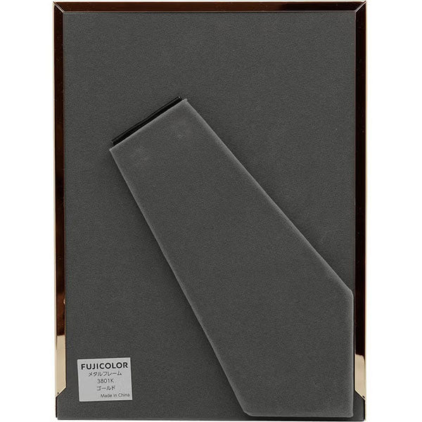 フジカラー メタルフレーム 3801K ゴールド 2Lサイズ