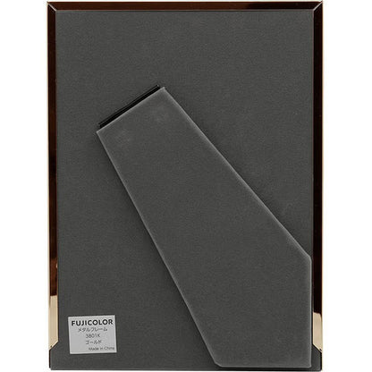 フジカラー メタルフレーム 3801K ゴールド 2Lサイズ