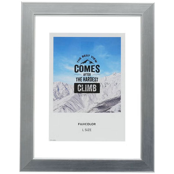 《3月6日発売予定》 フジカラー フローティーフレーム メタル調 L シルバー