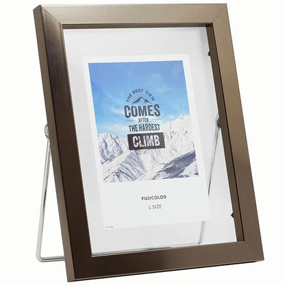 《3月6日発売予定》 フジカラー フローティーフレーム メタル調 L ブロンズ