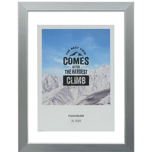 《3月6日発売予定》 フジカラー フローティーフレーム メタル調 2L シルバー